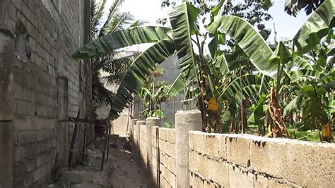 iyotan sa likod bahay|You might also like .